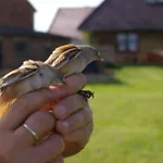 Ptaszarnia - Natura-free Parking Swinoujscie