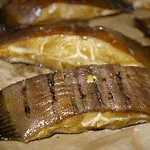 Ptaszarnia - Natura-free Parking Swinoujscie