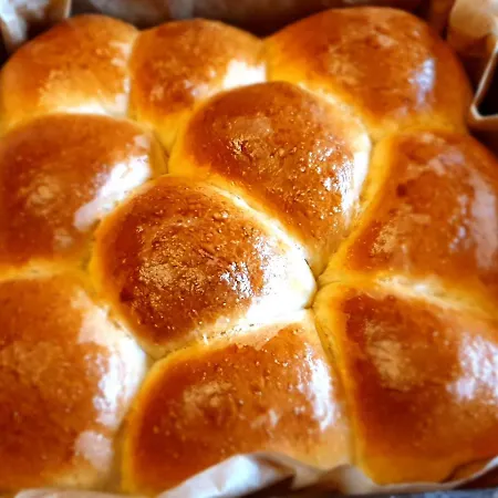 Dom Goscinny Ptaszarnia - Natura-Free Parking 4* Swinemünde