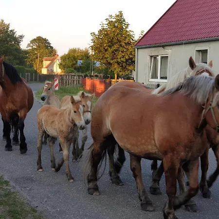 Dom Goscinny Ptaszarnia - Natura-Free Parking Bed & Breakfast