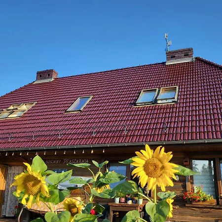 Bed and breakfast Ptaszarnia - Natura-free Parking 4*