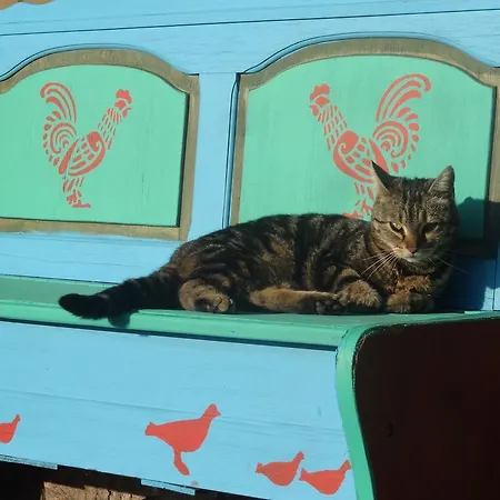 Ptaszarnia - Natura-free Parking B&B 슈비노우이스쳬