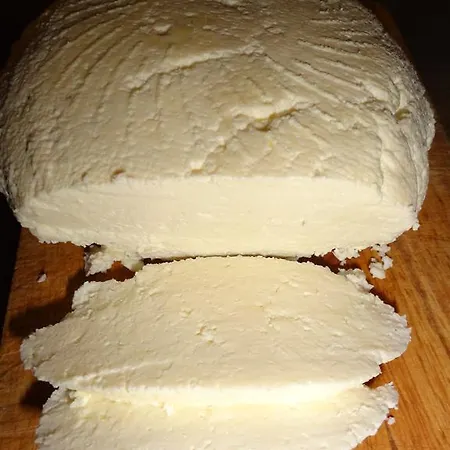 Ptaszarnia - Natura-free Parking 4*