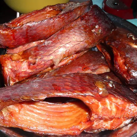 Ptaszarnia - Natura-free Parking 슈비노우이스쳬