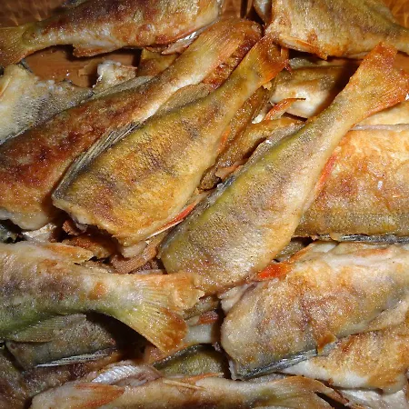 B&B Ptaszarnia - Natura-free Parking 슈비노우이스쳬