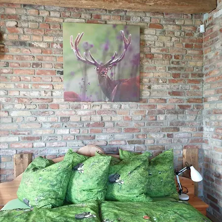 Dom Gościnny Ptaszarnia - Natura-free Parking Bed & Breakfast 3*
