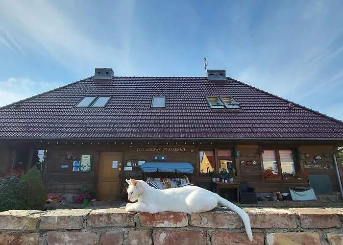 Ptaszarnia - Natura-free Parking