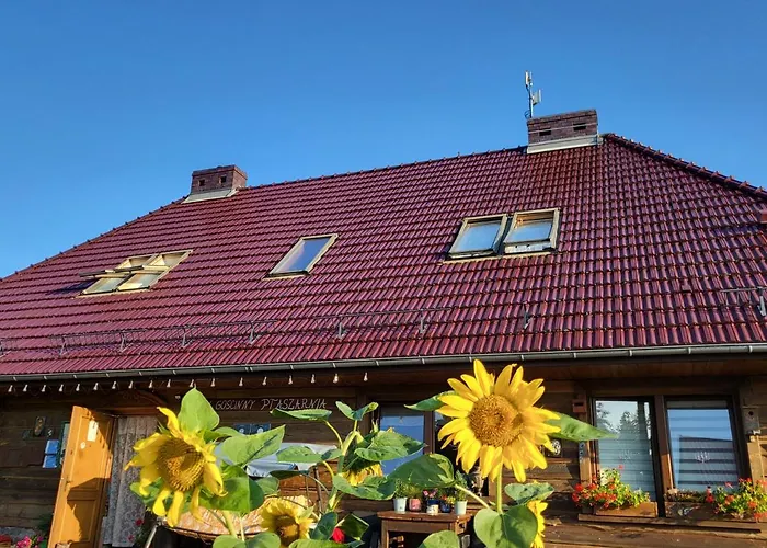 Bed and breakfast Ptaszarnia - Natura-free Parking 4*