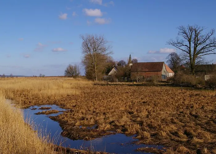 Ptaszarnia - Natura-free Parking 4* Świnoujście
