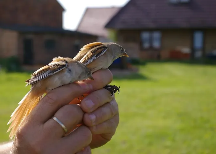 Ptaszarnia - Natura-free Parking Świnoujście