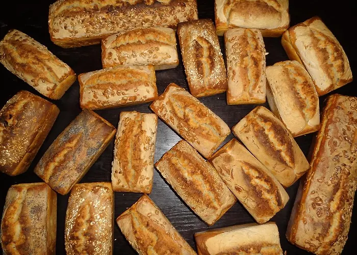 Bed and breakfast Ptaszarnia - Natura-free Parking Świnoujście