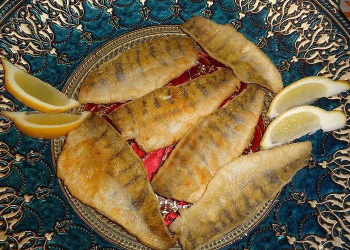 Ptaszarnia - Natura-free Parking Bed and breakfast 4*