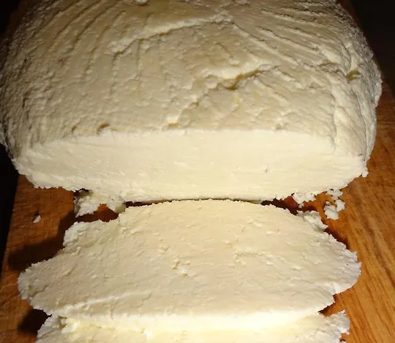 Ptaszarnia - Natura-free Parking 4*