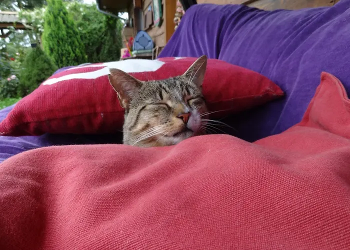 Ptaszarnia - Natura-free Parking Bed and breakfast Świnoujście